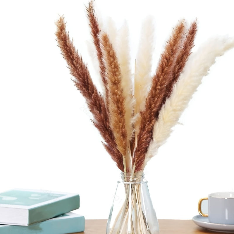 Soothera Pampas — Ramo de Capim Seco Natural