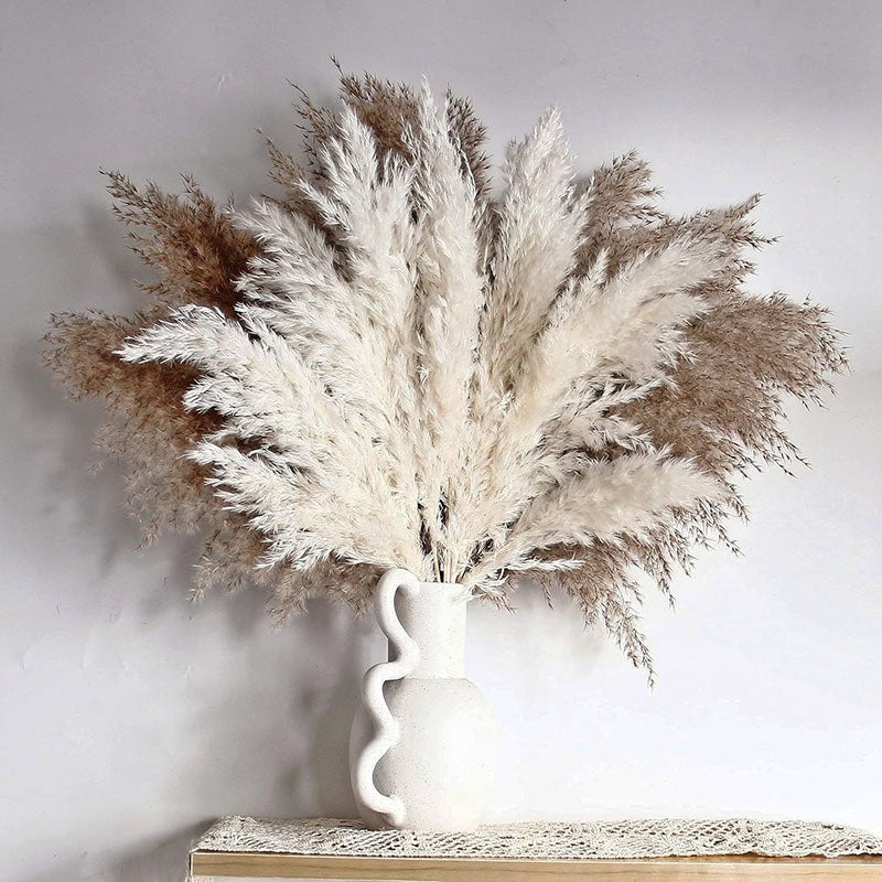 Soothera Pampas — ramo de capim seco creme em jarra branca