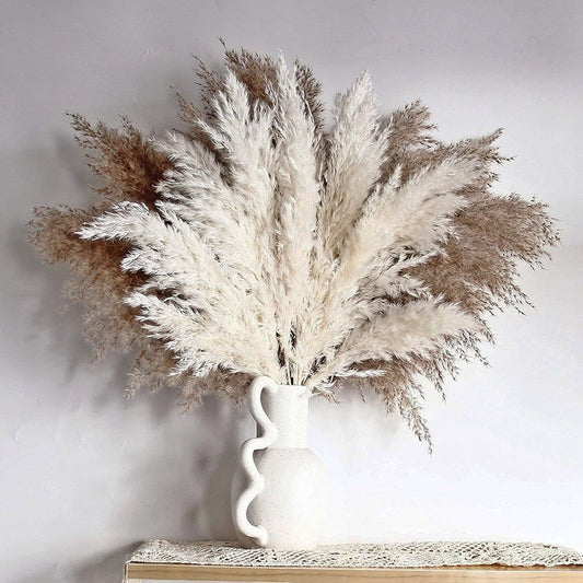 Soothera Pampas — ramo de capim seco creme em jarra branca