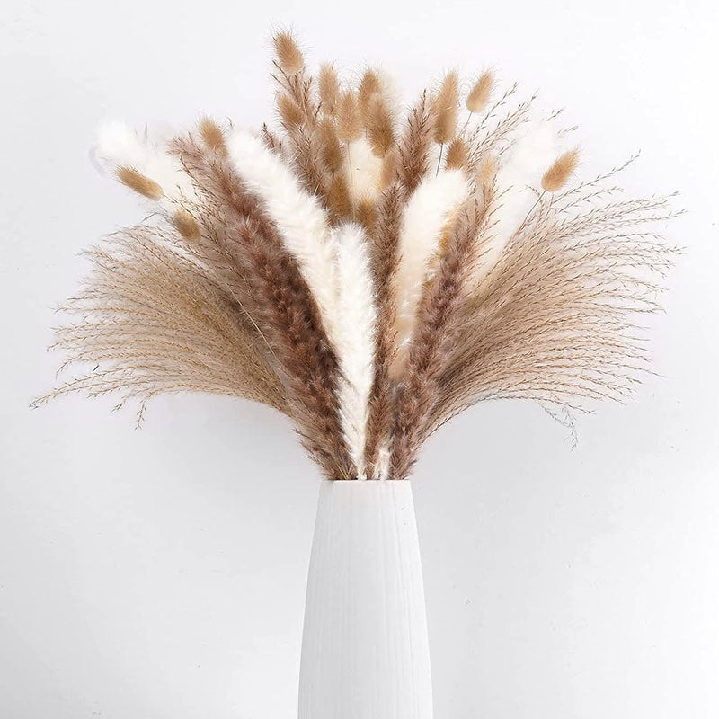 Soothera Pampas — Ramo de Capim Seco Natural